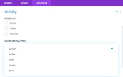 3 Helpful Ways to Use Overflow Options in Divi
