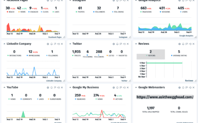 Brand Management Dashboard