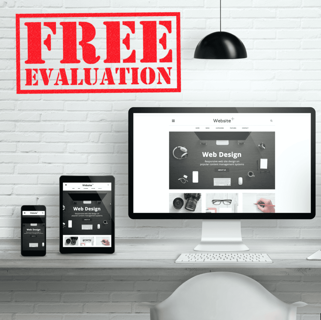 Ask the Egghead Free Website Evaluation