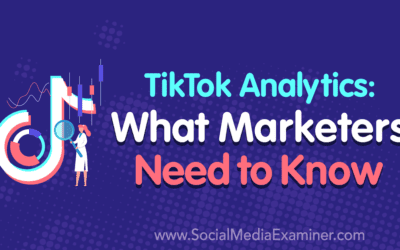 TikTok Analytics: What Marketers Need to Know