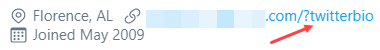 url query string in twitter bio