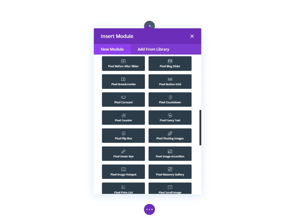 Divi Pixel Modules