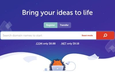 Everything You Need to Know About Domain Names