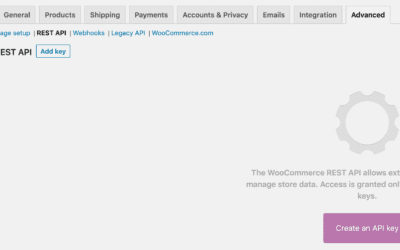 A Simple Guide to the WooCommerce API