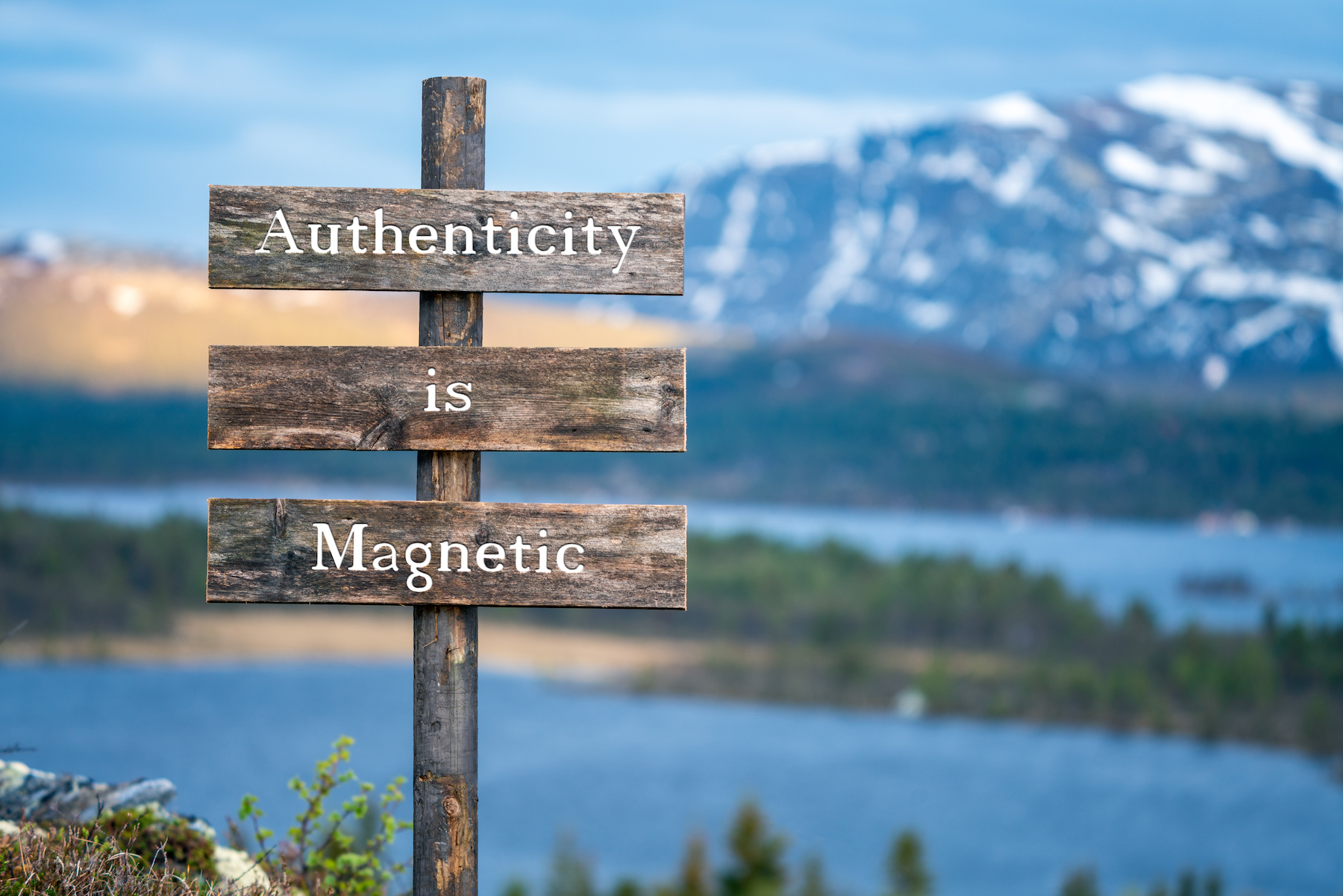 Authenticity in Marketing