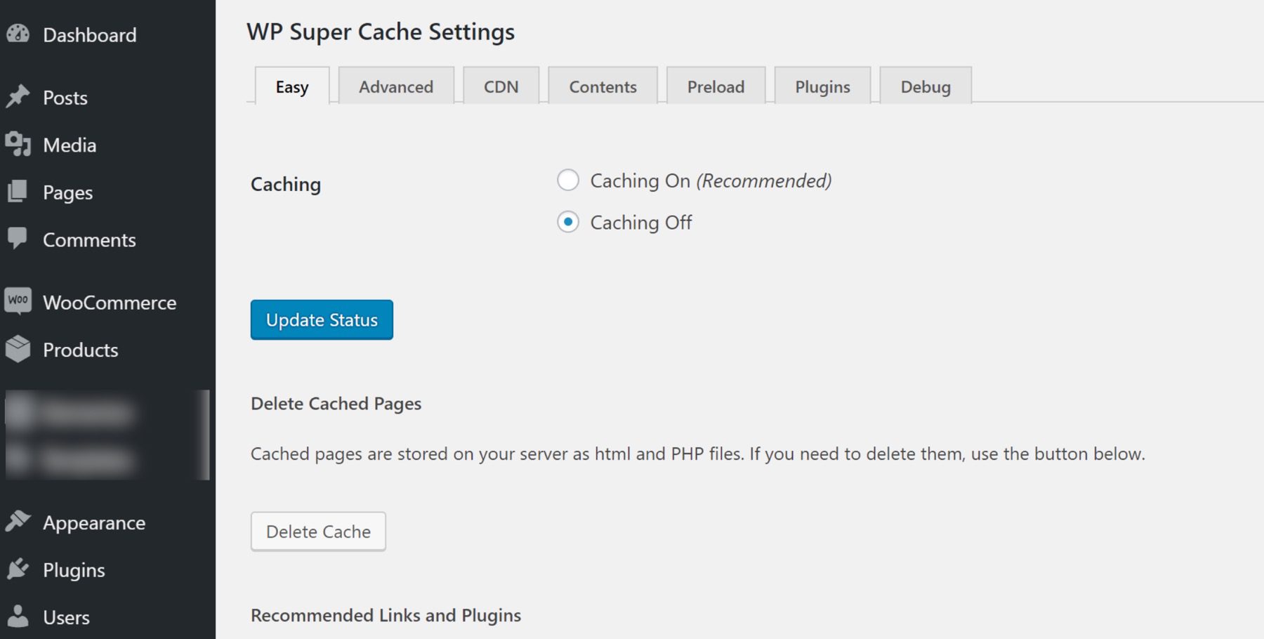 WP Super Cache setting