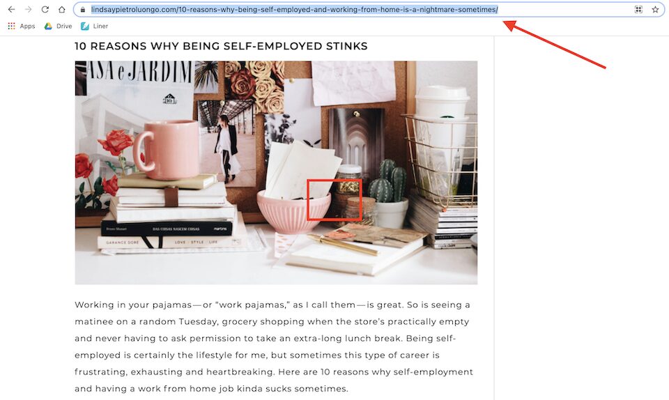 How to Use the WordPress Embed Block