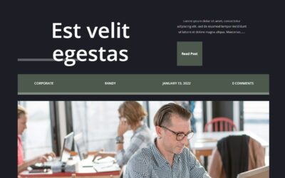 How to Include Metadata in Your Blog Post Template with Divi
