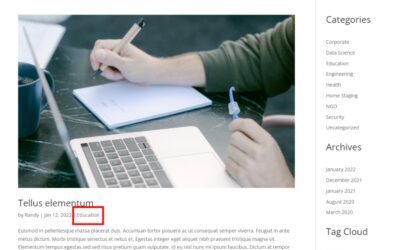 How to Use a Blog Module Inside a Category and/or Archive Page Template