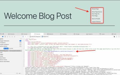 The Ultimate Guide to Canonical URLs