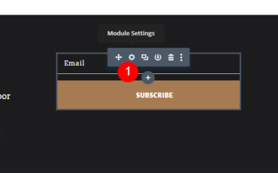 How to Use a Spam Protection Service in Divi’s Email Optin Module