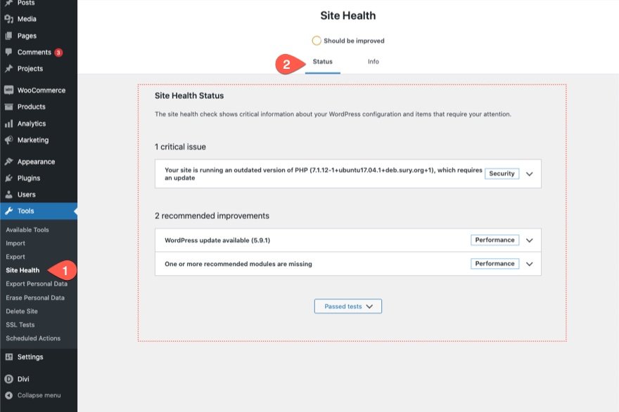 wordpress site health check