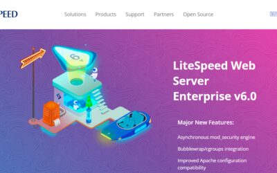 What is LiteSpeed Web Server Software?
