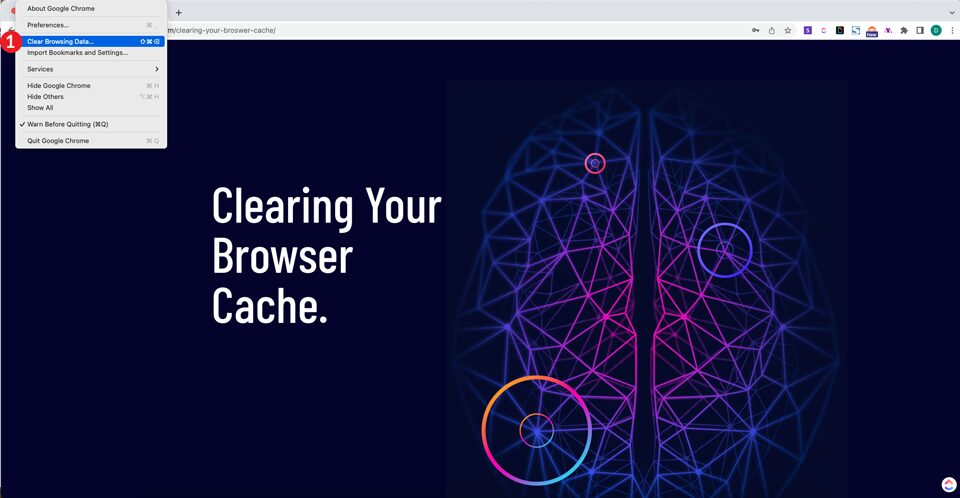 Clearing Your Browser Cache