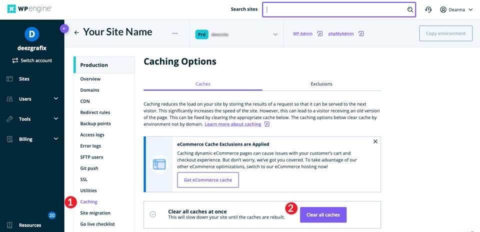 WP Engine Cache