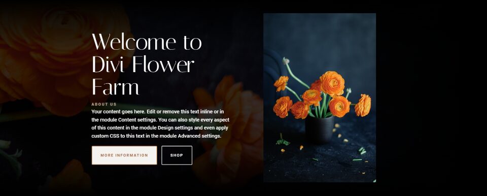 Add an Image to Your Fullwidth Header