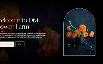 How to Style an Image in Your Divi Fullwidth Header Module