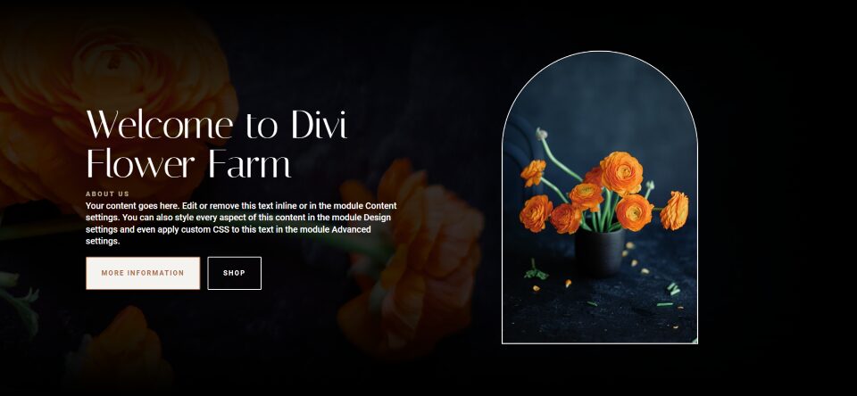 How to Style an Image in Your Divi Fullwidth Header Module