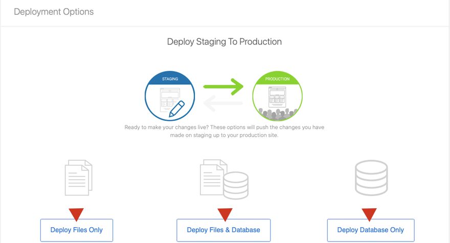 Deploying Your WordPress Staging Site in Bluehost