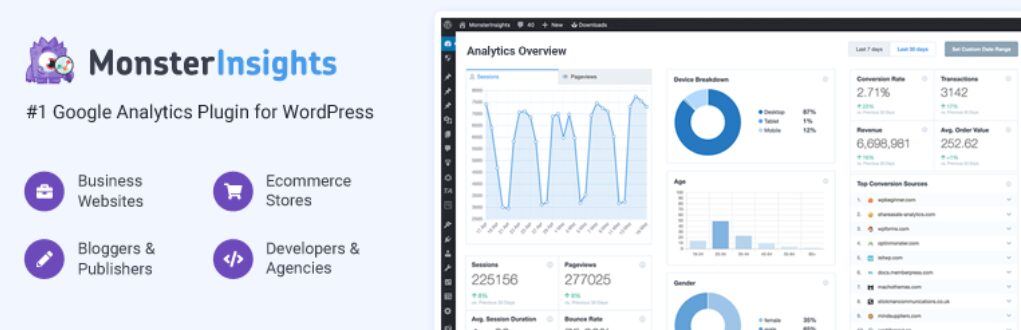 MonsterInsights is one of the best visitor counter plugins for WordPress. 