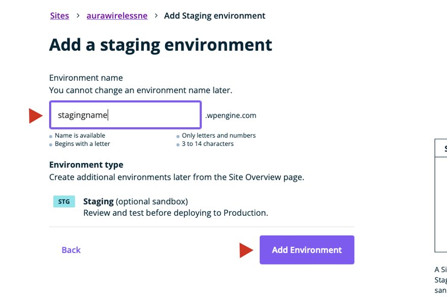 Naming Your WordPress Staging Site