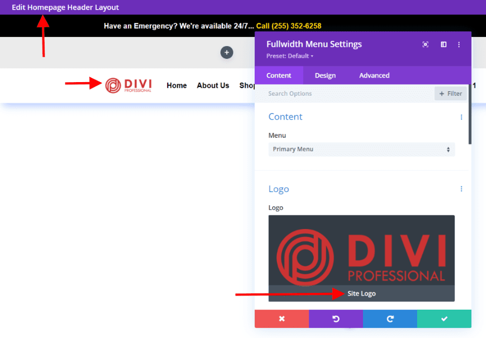 Divi Logo After