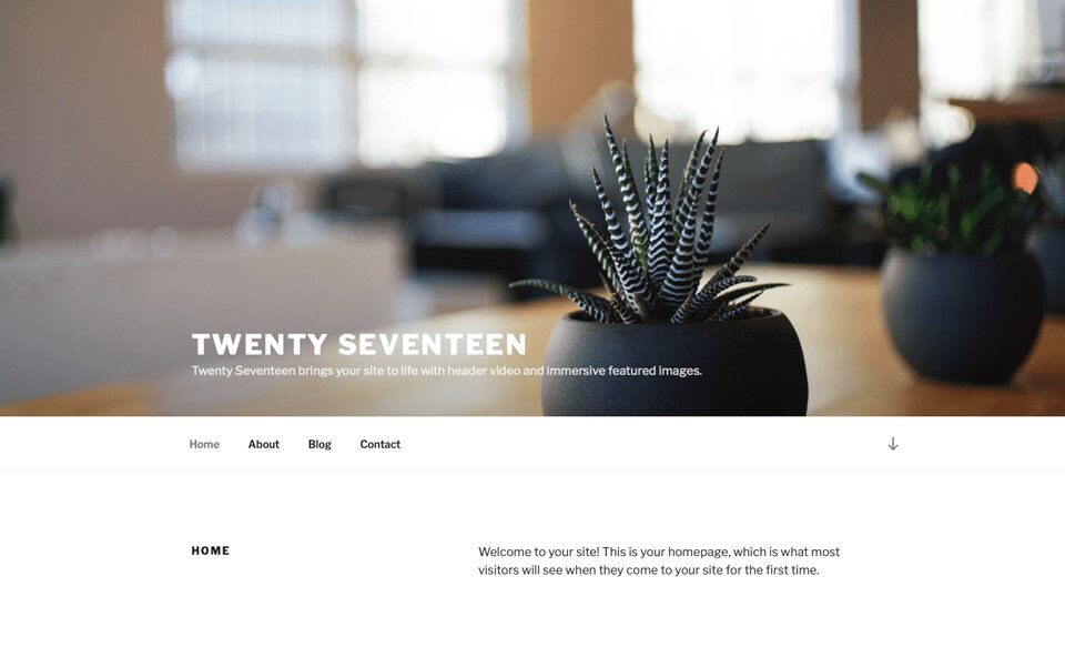 Twenty Seventeen Theme Layout