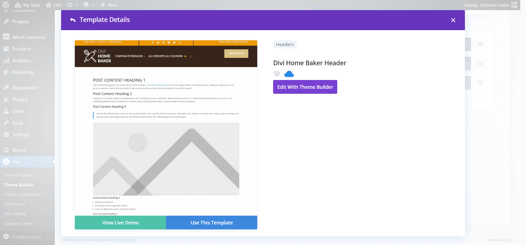 Understanding the Template Details window