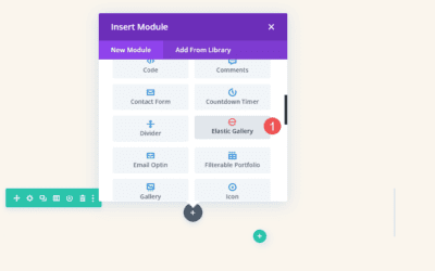 Divi Plugin Highlight: Divi Elastic Gallery