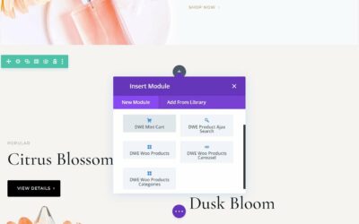 Divi Plugin Highlight: Divi WooCommerce Extended