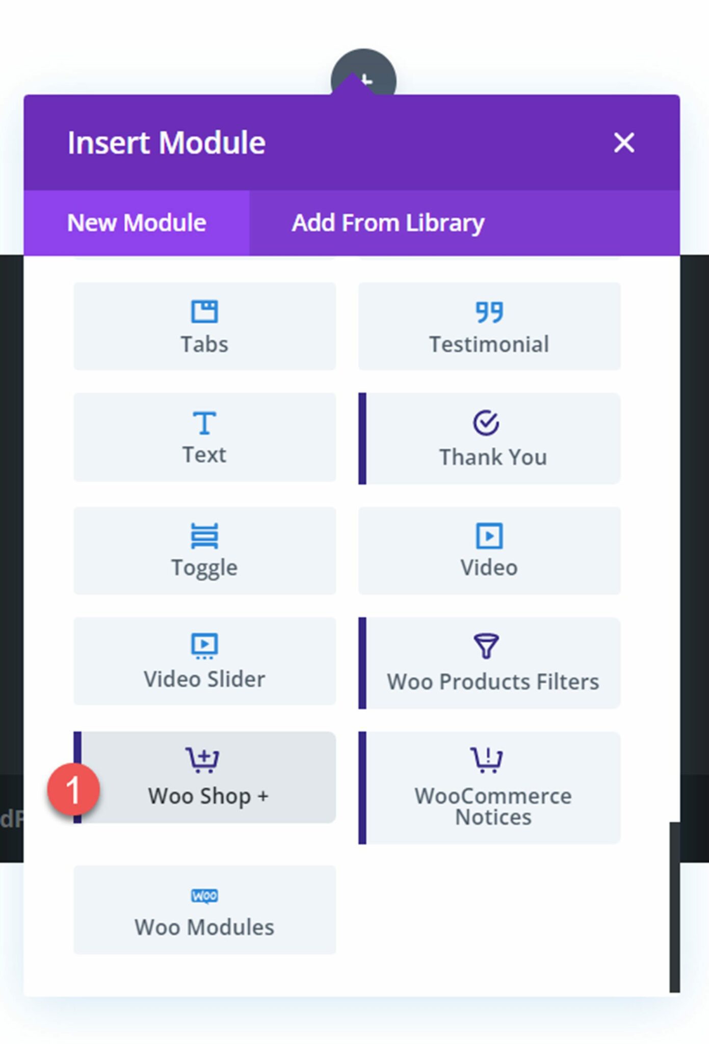 Divi Plugin Highlight Divi Shop Builder Woo Shop Module