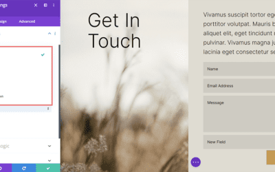 How to Set Up Your Divi Contact Form