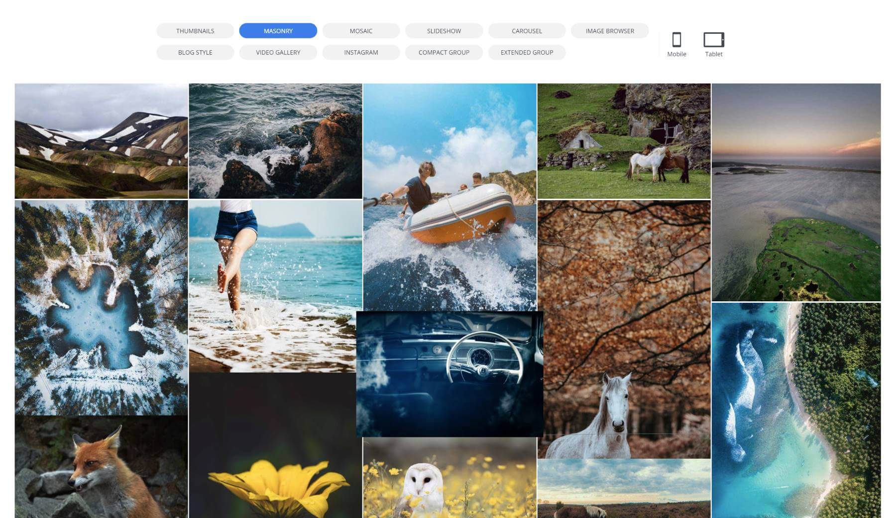 10web WordPress gallery plugin layouts