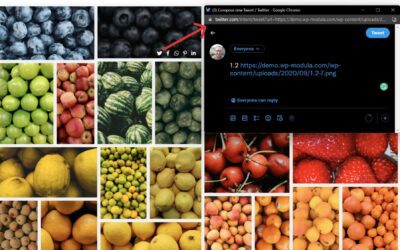 7 Best Gallery Plugins for WordPress (in 2023)