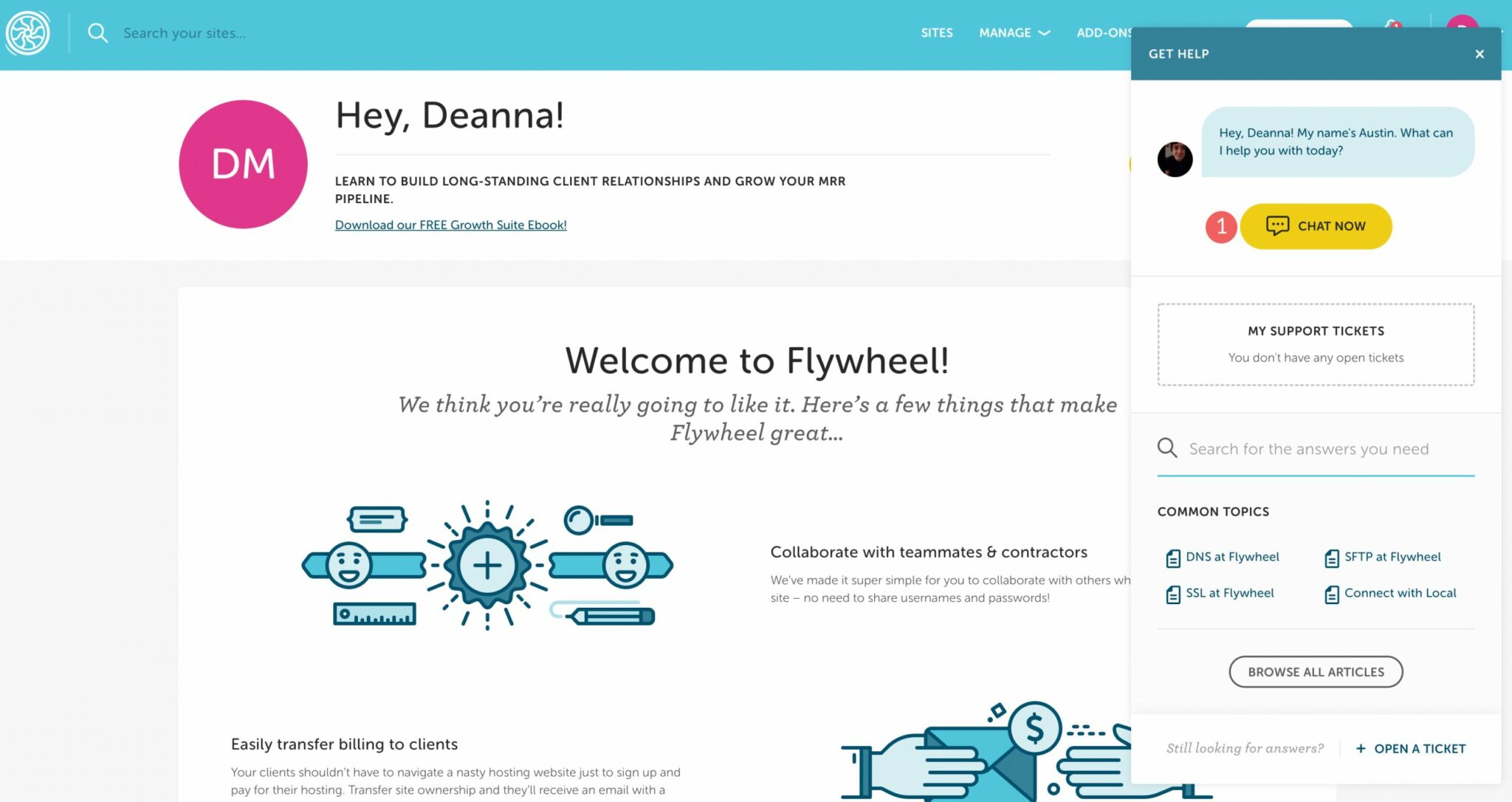 Chat with Flywheel