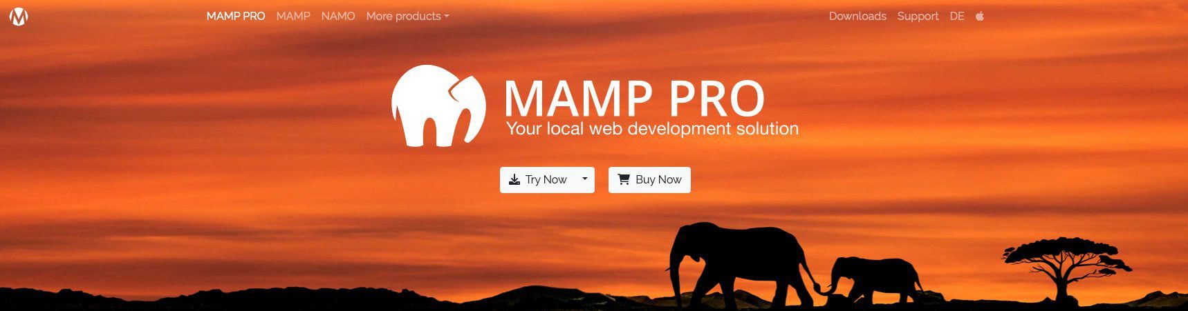 Update PHP WordPress in Mamp Pro