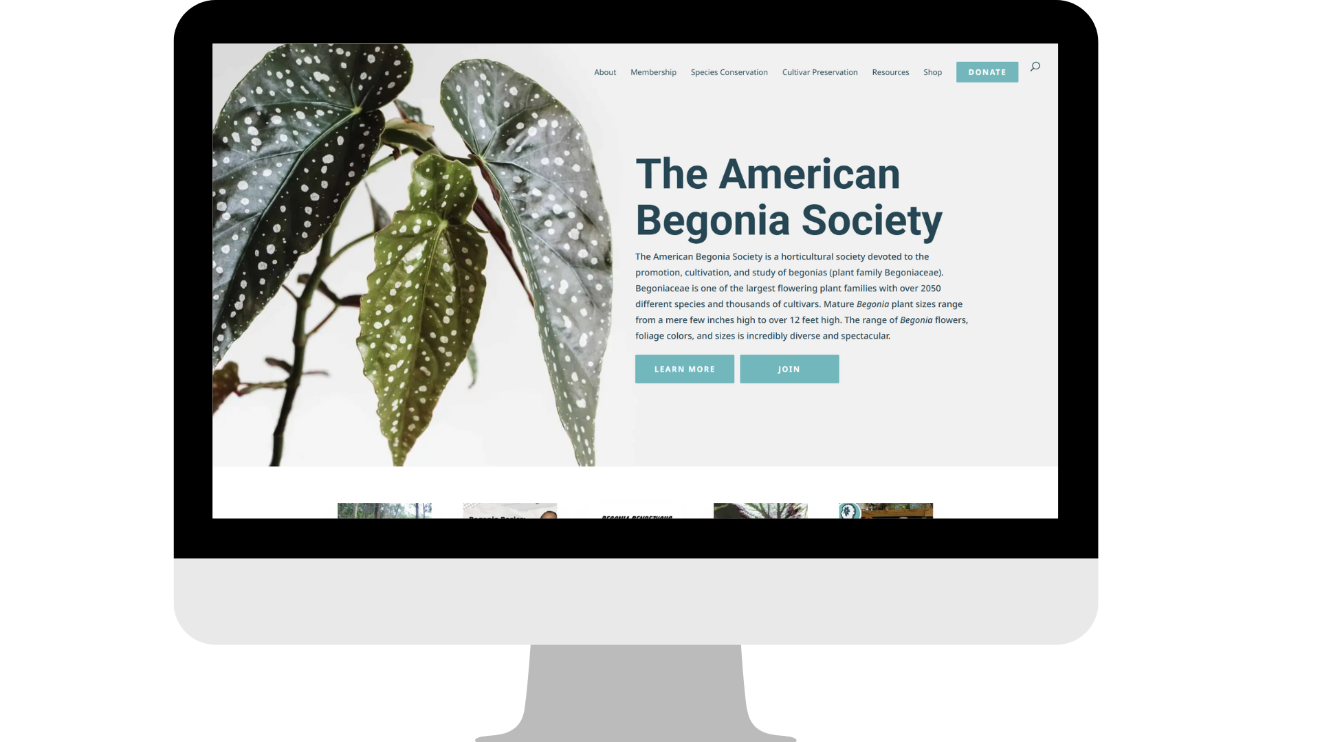 The American Begonia Society