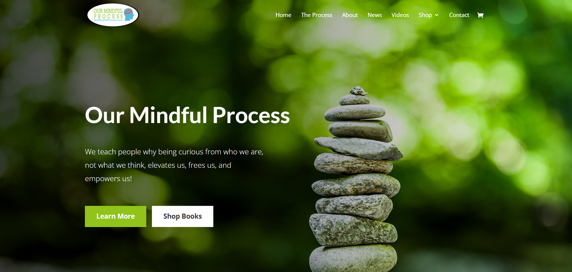 Our Mindful Process