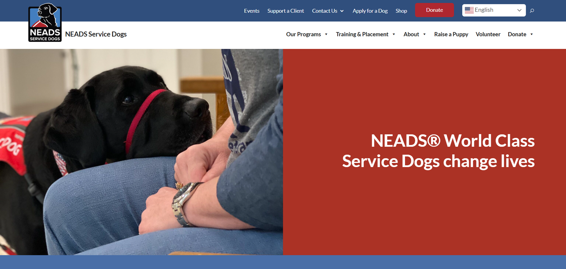 NEADS Service Dogs